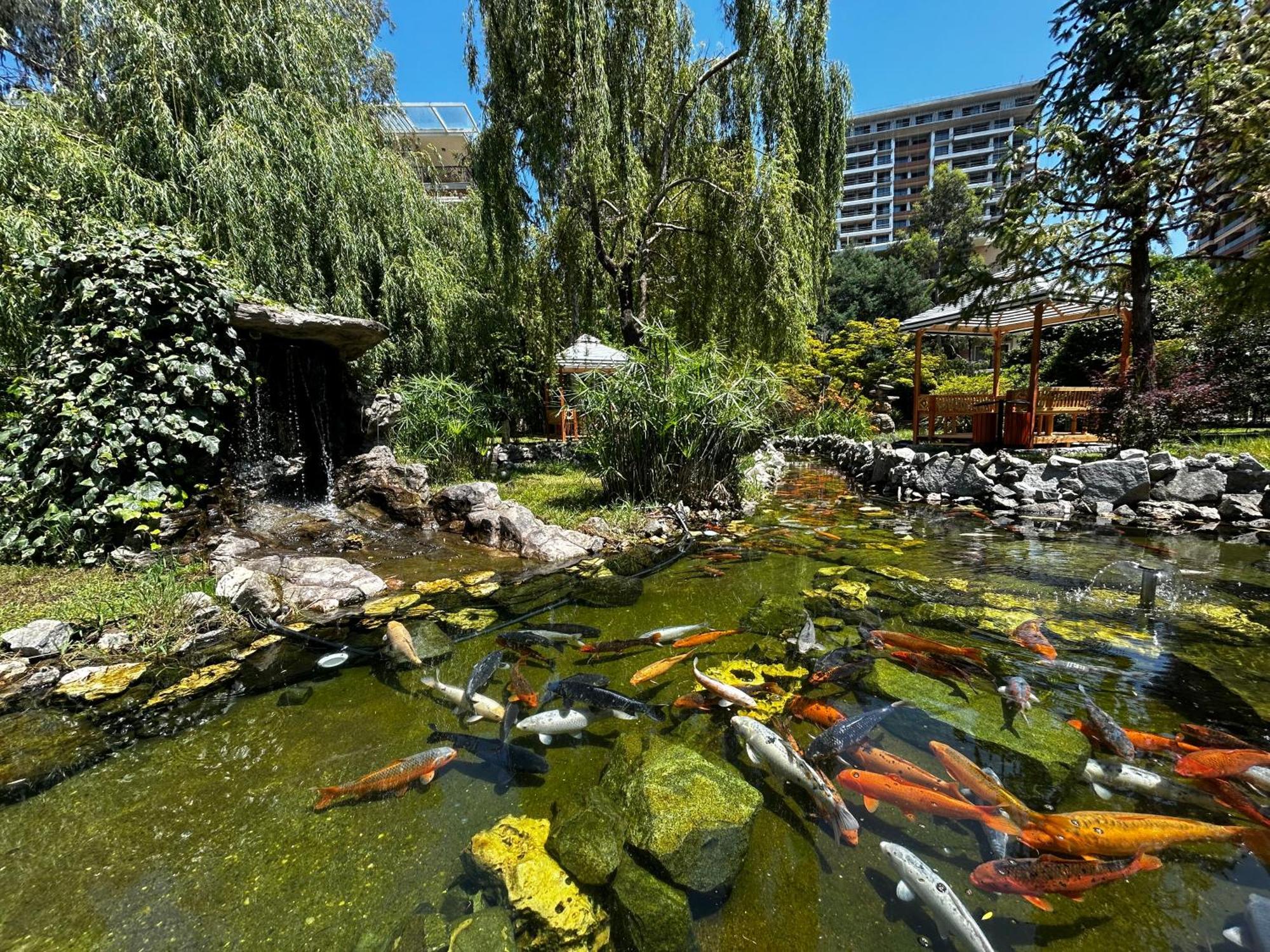 Cемейный Номер С Балконом На 4 Чел Dreamland Oasis Tsjakvi Eksteriør bilde